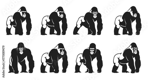 Set of gorilla silhouettes in different poses