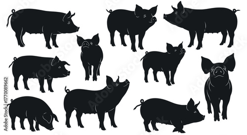 Set of pig silhouettes for your design needs