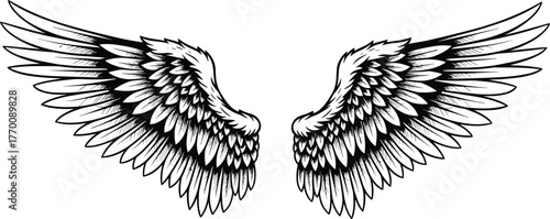 Detailed angel wings illustration in black and white, realistic feather design, spiritual art concept, fantasy decorative vector, freedom and divine symbolic artwork