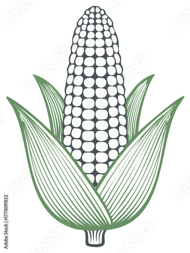 Stylized graphic illustration of a maize ear with partially open green husks, depicting agricultural produce and harvest.