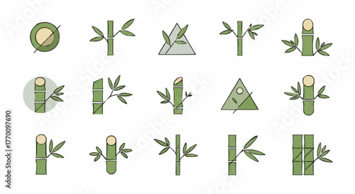 Collection of Various Bamboo Illustrations and Icons Representing Nature and Growth