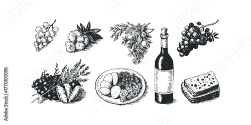 Vintage food and drink sketch collection with grapes and wine