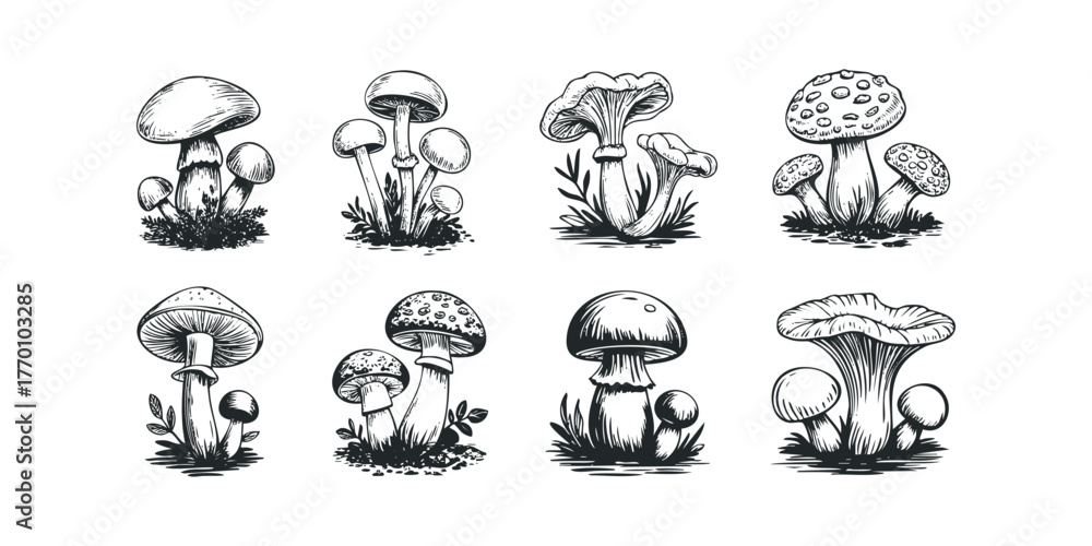 Naklejka premium Collection of hand-drawn forest mushrooms with detailed caps and stems