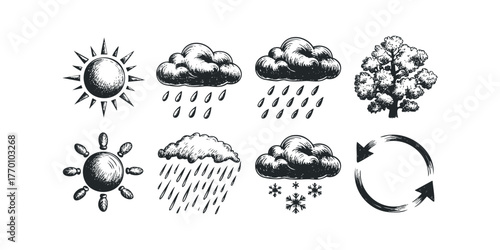 Hand drawn weather symbols and weather cycle illustration
