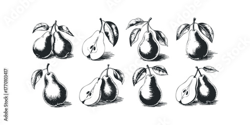 Collection of Pear Illustrations with Leaves and Shadows