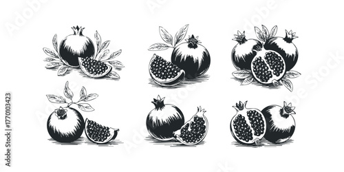 Collection of Hand-Drawn Pomegranates With Leaves