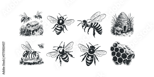 Collection of bee and beehive illustrations