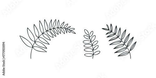 Line art sprigs and branches on white background