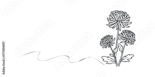Line art cluster of chrysanthemums with swirling vine