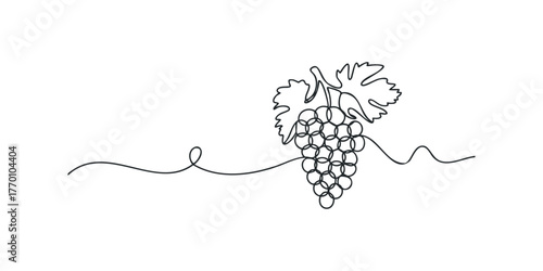 Single Line Drawing of Grape Bunch with Leaves