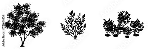 The illustration features a simple and abstract flat cartoon of a shrub, bush, shrubbery, and tree, created in a doodle and line art style