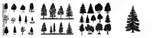 A cartoon tree is depicted amidst simple flat forest flora, including coniferous and deciduous meadow trees like oak and pine, as well as a Christmas tree, all as isolated plants