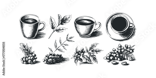 Hand Drawn Coffee Beans, Leaves and Cups Collection