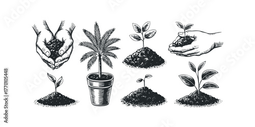 Hand holding soil with seedling for planting