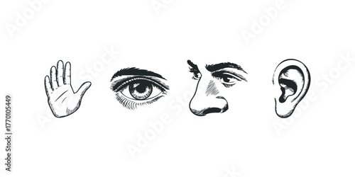 Hand eye nose and ear sketch