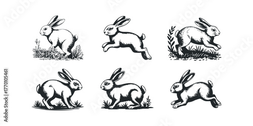 Six vintage rabbit illustrations in various playful poses