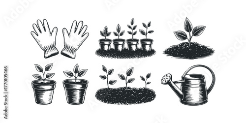 Gardening elements and plant seedlings in pots