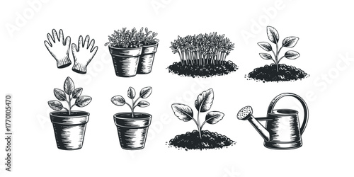 Gardening equipment and plant sprouts in pots