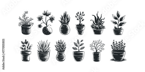 Collection of potted plant line drawings