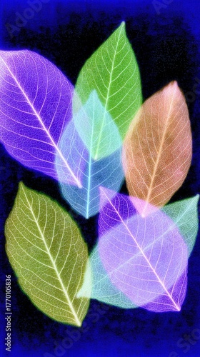 Multicolored leaves overlay dark blue background