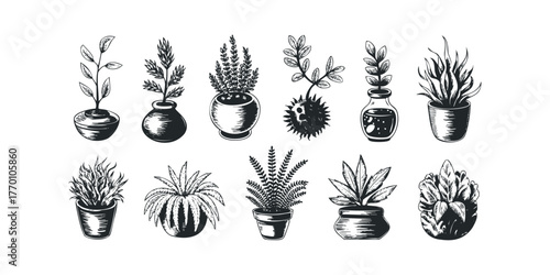 Collection of potted plant sketches in various containers