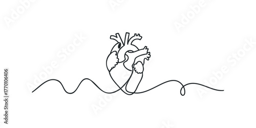 Single line drawing of a human heart with flowing wavy line
