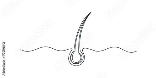 Single hair strand and follicle cross-section