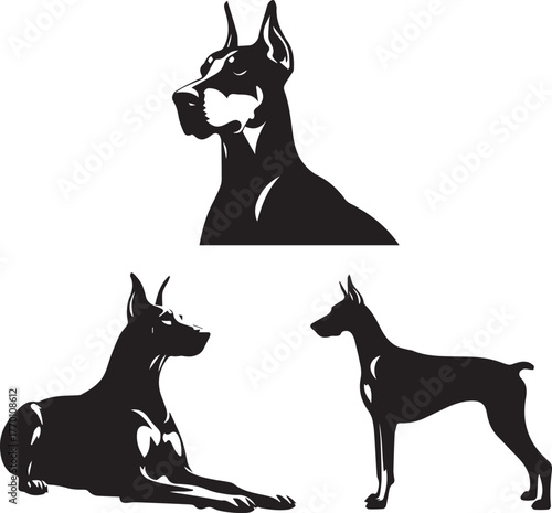 Dobermann Dog Vector 