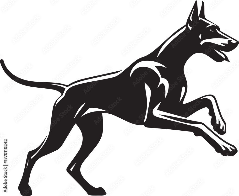 Obraz premium Dobermann Dog Vector 