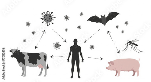 Zoonotic spread from animals and insects to human hosts, illustrating disease transmission and public health challenges in a modern, clean graphic