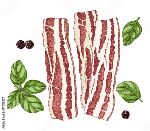 Sliced pork bacon sketched illustration