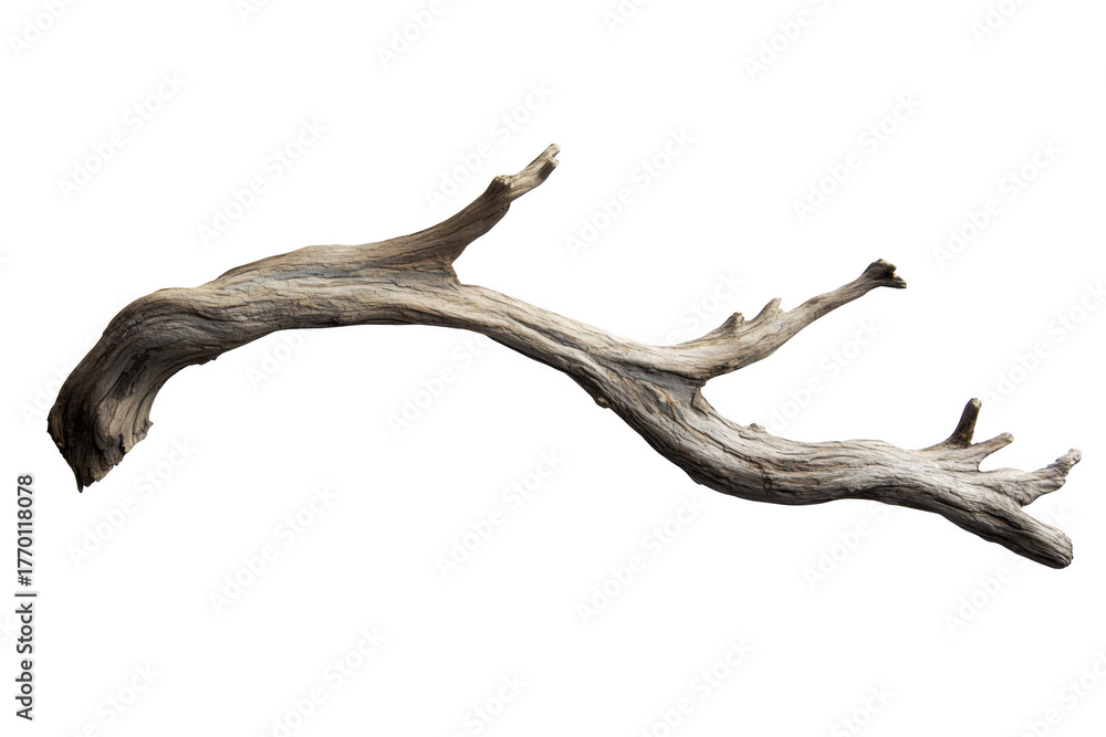 Fototapeta premium Weathered wood branch isolated on a transparent background
