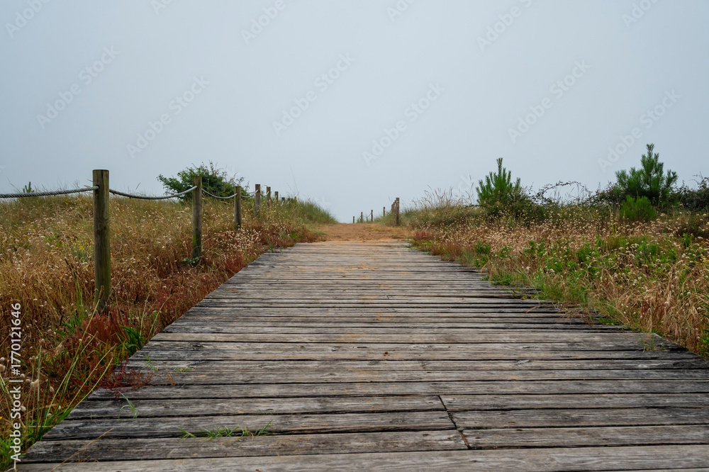 Fototapeta premium A wooden bridge with a brown fence on the side. The fence is made of wood and is located on the side of the bridge. The bridge is also made of wood and is long, stretching across a field