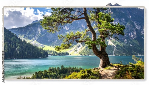 Lake and tree serene scenic view