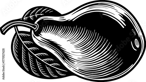 Illustration of a pear with a leaf in black and white with detailed line work and shading effect on transparent background silhouette