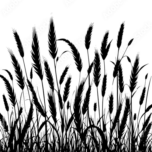 Wheat field silhouette vector illustration agriculture crop harvest art