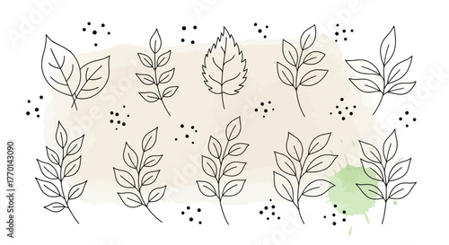Elegant Black Line Art Leaf Design Collection Delicate Floral Elements for Design Projects