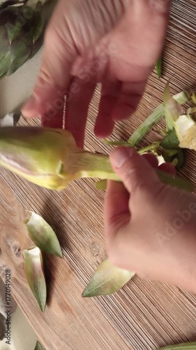 Anonymous person peels artichoke in kitchen at home. Healthy eating and traditional Italian dish. Fresh seasonal farm produce.