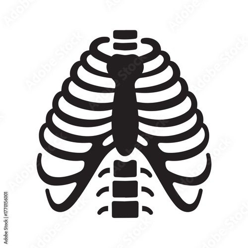 Silhouette Medical Diagram Showing The Bony Structure of the Chest and Upper Thoracic Spine. 