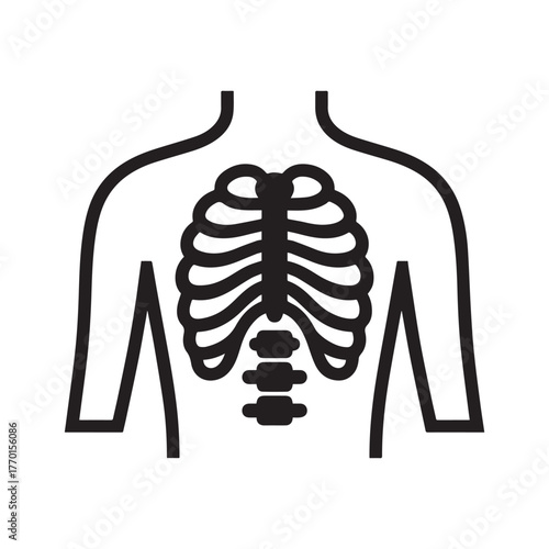Silhouette Medical Diagram Showing The Bony Structure of the Chest and Upper Thoracic Spine. 