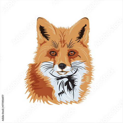 cool fox face
