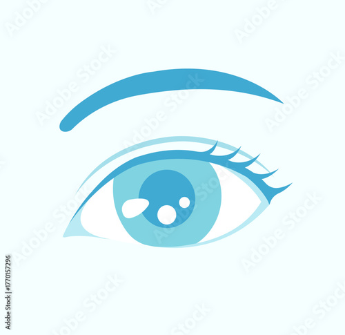 Female close up eyes vector illustration