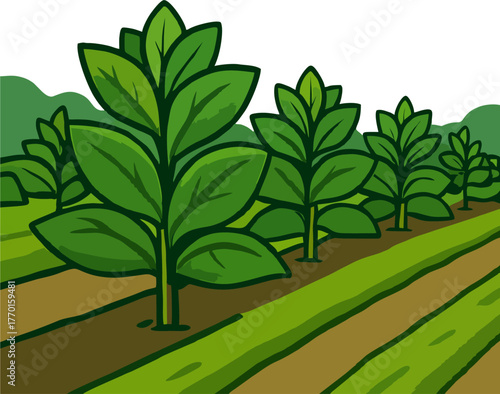 Cartoon Tobacco Crop Field Vector Illustration, Green Leafy Plants on Farmland with Hills Background