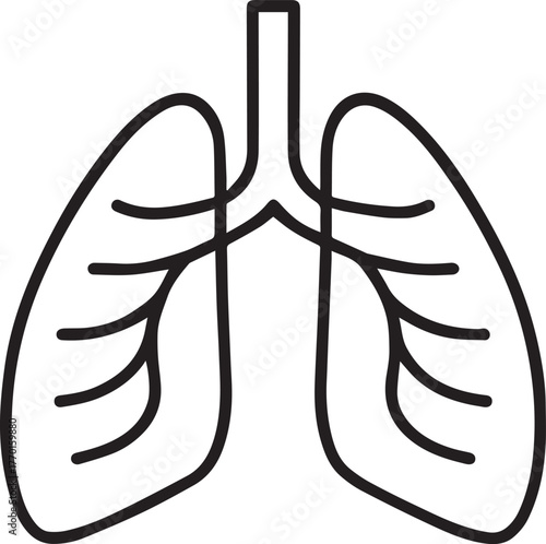 Lungs