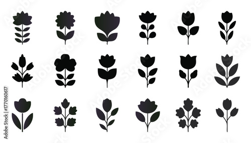 A collection of stylized black silhouette floral and botanical elements isolated on a white background featuring various leaf and flower designs for graphic design and decoration