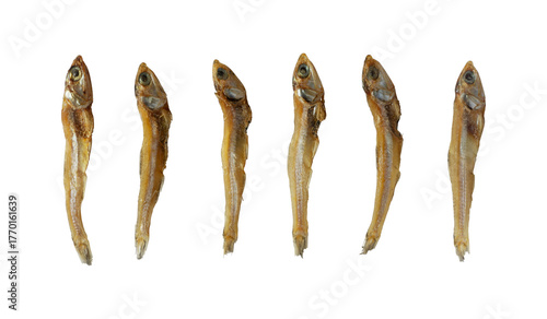 Obraz na płótnie set of dried anchovy fish isolated