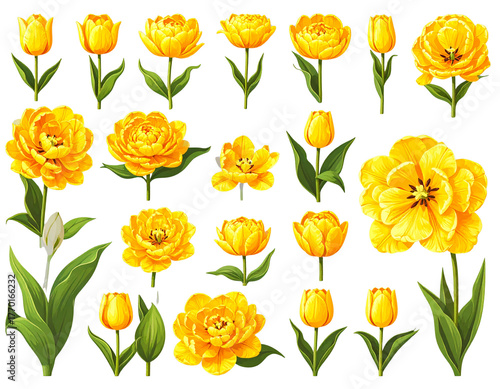 Wallpaper Mural A collection of yellow tulips flower isolated on a flat background Torontodigital.ca