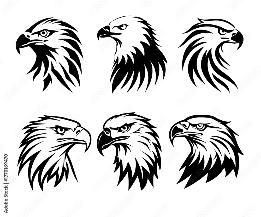 Fototapeta premium Illustration set of eagle heads detailed line art bold avian graphics for emblems and decals