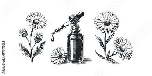 Botanical essence dropper bottle with calendula flowers