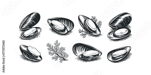 Collection of Mussels and Dill Sprigs